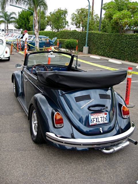 IMG_8734rs.JPG