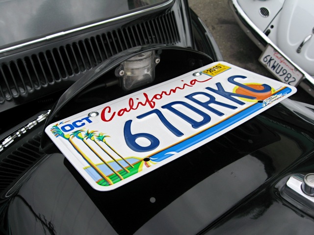IMG_8727rs.JPG