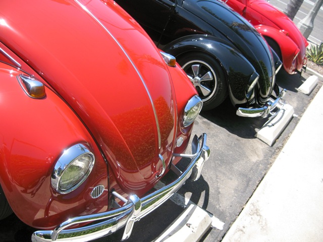 IMG_6668rs.JPG