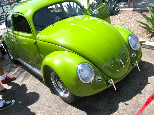 IMG_6655rs.JPG