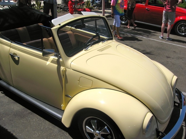 IMG_6653rs.JPG